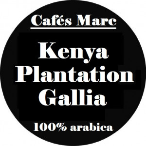 Café Kenya AA Gallia