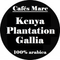 Café Kenya plantation Gallia en Grain - Cafés Marc depuis 1945