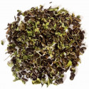 Thé vert menthe - Greender's Tea depuis 2011