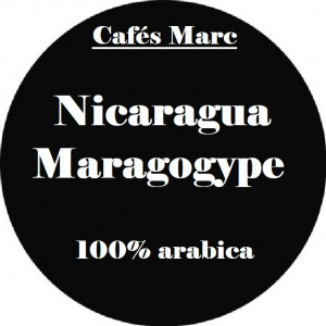 Café Nicaragua Maragogype moulu expresso
