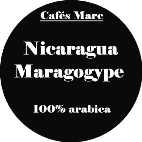 Café Nicaragua Maragogype en grain