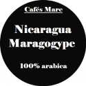 Café Maragogype du Nicaragua en Grain - Cafés Marc depuis 1945