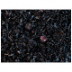 Thé noir aux 3 fruits noirs aromatisé framboise, mure et cassis- Compagnie & Co