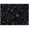 Thé noir aux 3 fruits noirs - Compagnie & Co depuis 1848