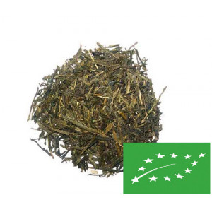 Thé vert Sencha Fukuyu bio du japon