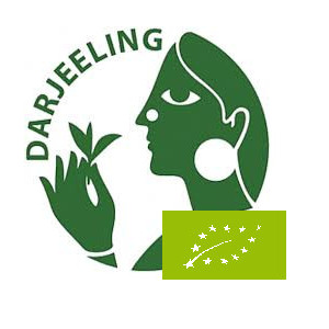 Thé Darjeeling de printemps