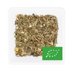 Thé vert aux 2 Menthe BIO - Greender's Tea depuis 2011