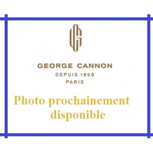 Thé vert Jardin d'Areski - George Cannon
