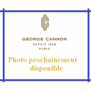 Thé noir Petrouchka 7 agrumes Bio - George Cannon