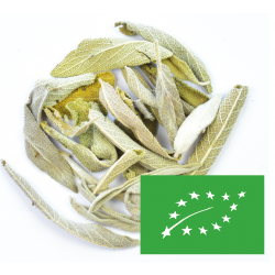 Feuilles de Sauge Bio - Greender's Tea