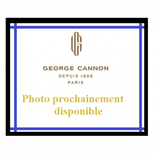 "Thé noir et thé vert Divine Dynastie George Cannon en vrac"