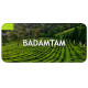 Thé Darjeeling Badamtam BIO First Flush 2024, récolte de Printemps