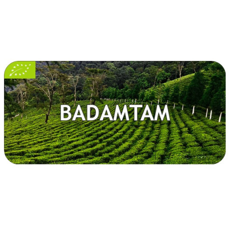 Thé Darjeeling Badamtam BIO First Flush 2024, récolte de Printemps