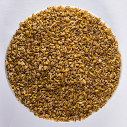 Thé au Sarrasin Soba-Cha - Greender's Tea