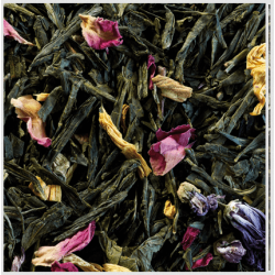Thé vert Sencha Printemps - Compagnie & Co